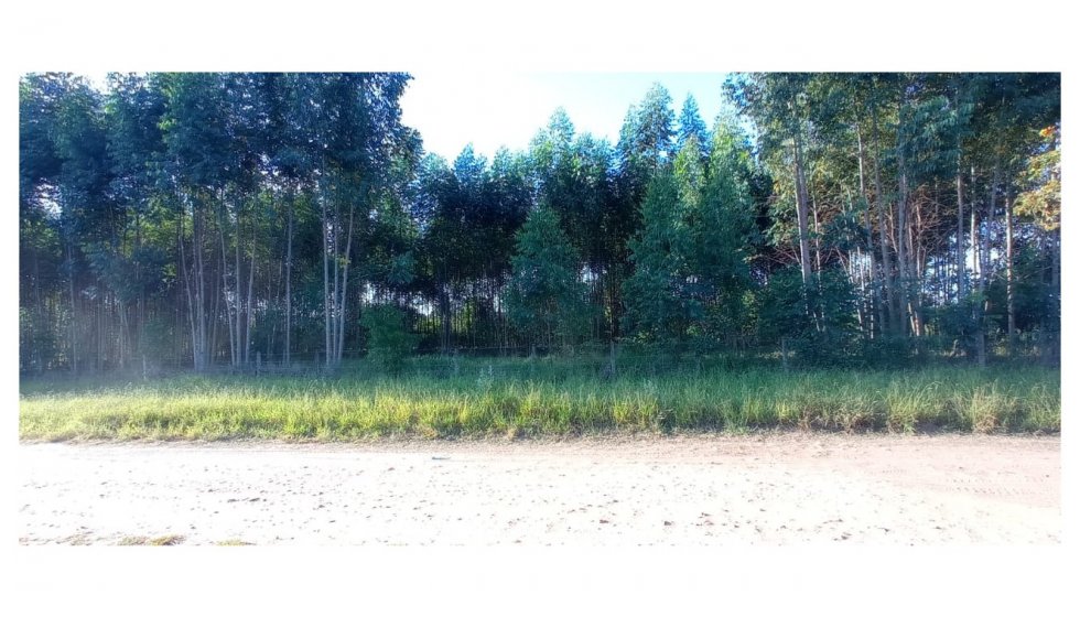 Terreno em São Pedro
