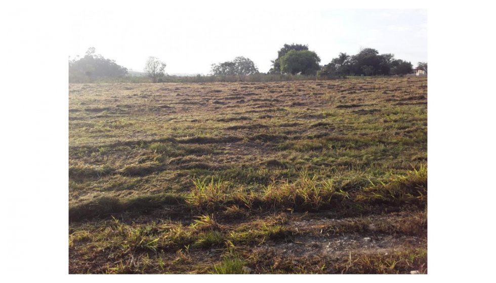 Terreno em São Pedro