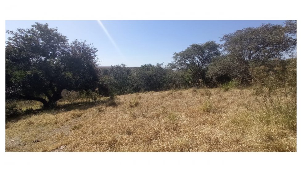 Terreno em São Pedro