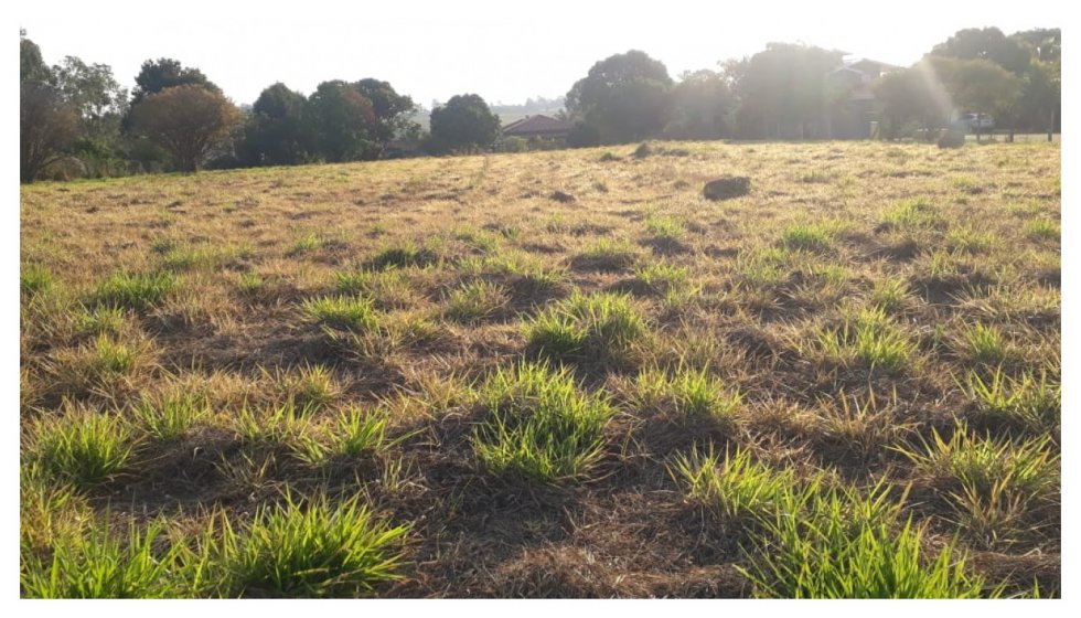 Terreno em São Pedro