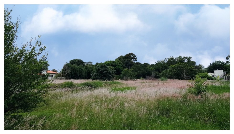 Terreno em São Pedro