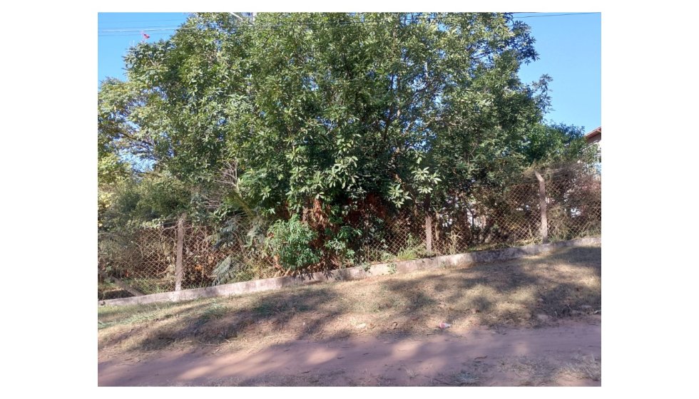 Terreno em São Pedro 